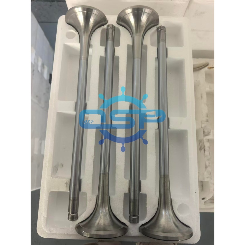 Locomotive Diesel Engine GE valves
